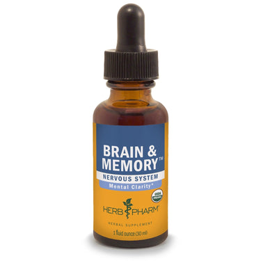 Brain & Memory - My Village Green